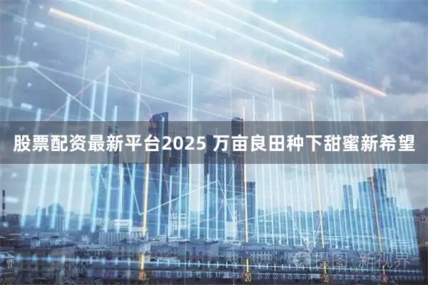 股票配资最新平台2025 万亩良田种下甜蜜新希望